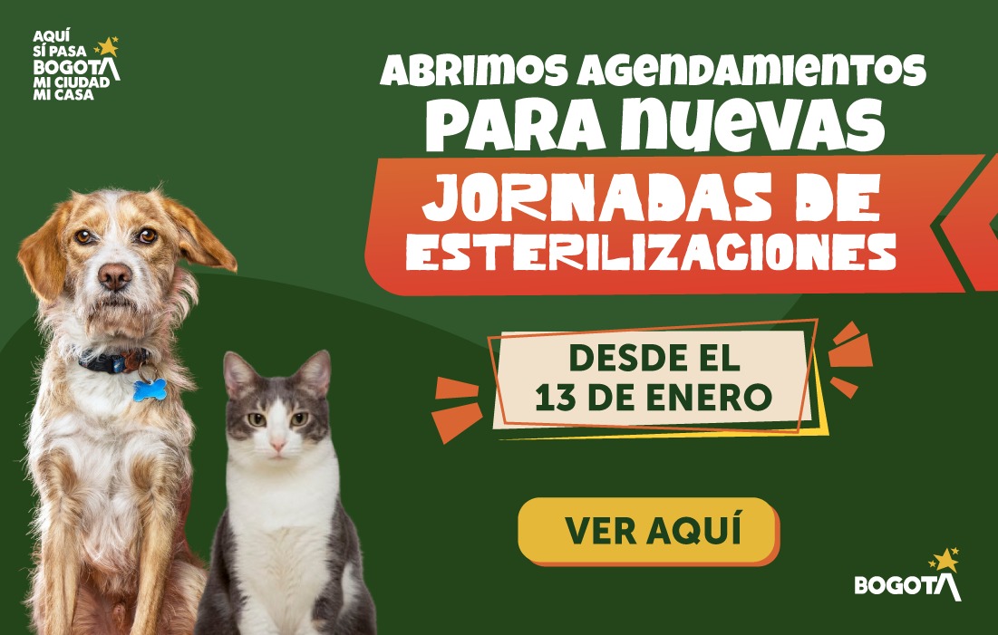 Bogotá abrió agendamiento para 1.700 nuevos cupos de esterilizaciones gratuitas de animales desde el 13 de enero 2026